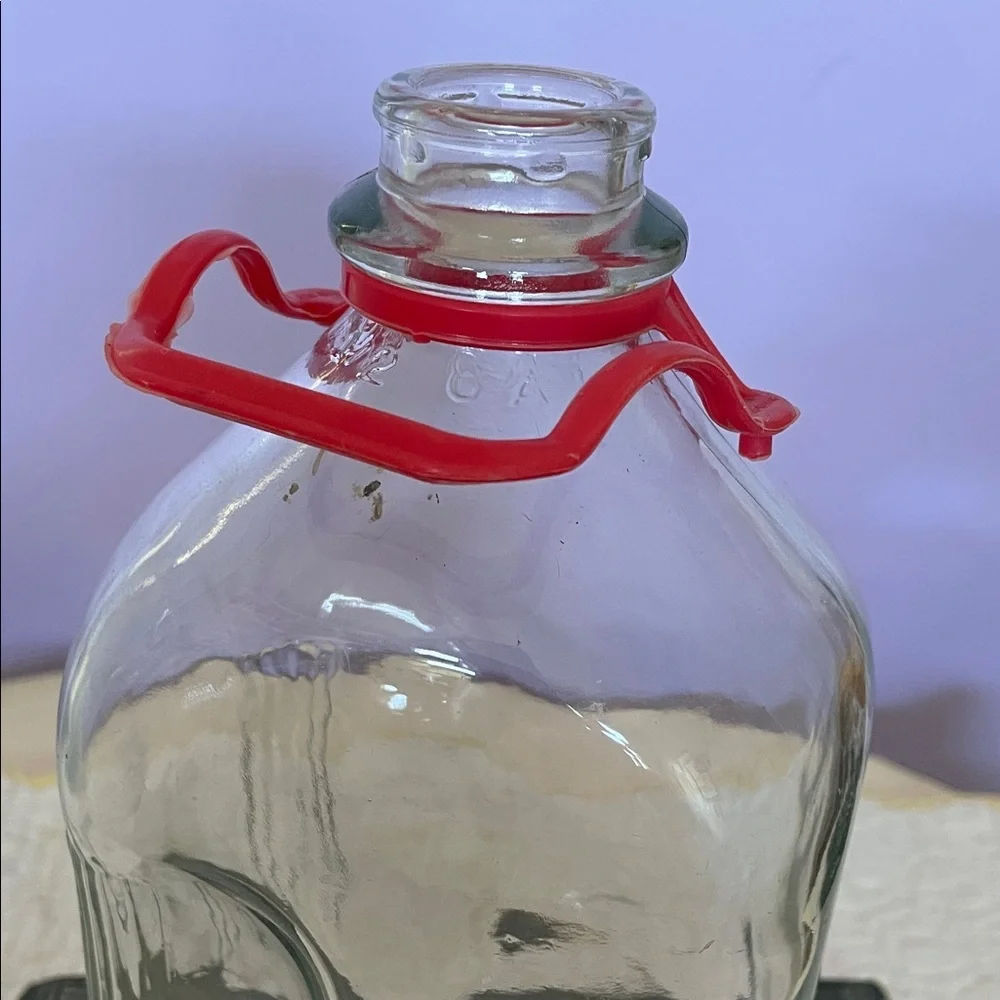 Clear Glass 1/2 gallon milk Jug with Red Carry strap